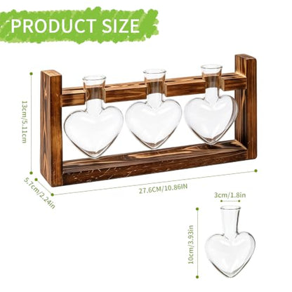 Plant Terrarium Propagation Stations with Heart Hydroponic Vase