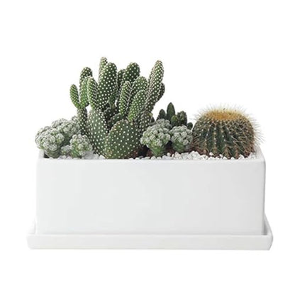 12 Inch Rectangular Ceramic Plant Pot, Window Box, Glazed White - color: White, size: 12 Inch