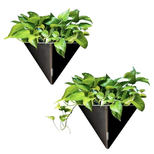 LaLaGreen Indoor Wall Planter (12in, 2 Pack) Black Self Watering Flower Pot - color: Black X 2 Pack