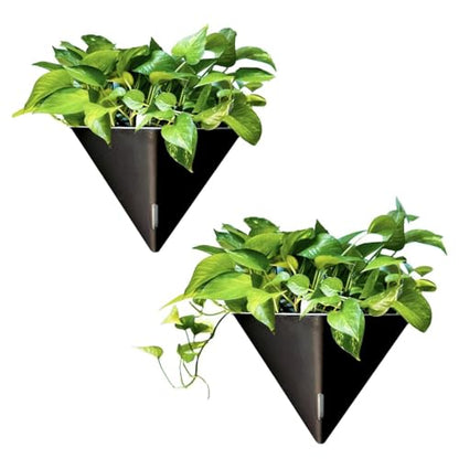 LaLaGreen Indoor Wall Planter (12in, 2 Pack) Black Self Watering Flower Pot - color: Black X 2 Pack