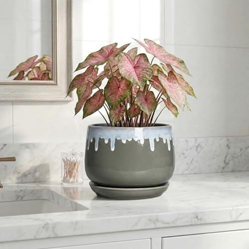 Ceramic Planter, 7 Inch Flower Pots for Indoor Plants, Grey-Blue - size: 7 Inch, style: Grey-blue
