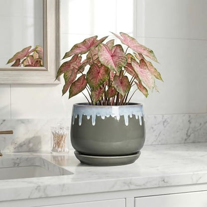 Ceramic Planter, 7 Inch Flower Pots for Indoor Plants, Grey-Blue - size: 7 Inch, style: Grey-blue