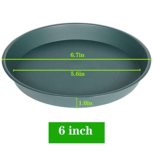 6 Pack Plant Saucer Tray Green, 4 6 8 10 12 13 15 17 19 inch Pot Saucers, Heavy Duty Plastic Plant Saucers for Indoors, Plant Drip Tray, Plant Trays for pots Planter (6", Green) - color: Green, size: 6"