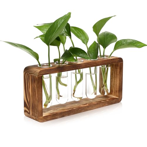 Glass Plant Propagation Station with 5 Test Tubes Planter Vase with Wooden