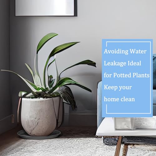 Eccliy 12 Pcs Plastic Plant Saucers Tray, Gray, 18 Inch, Round - color: Gray, size: 18 Inch, style: Round