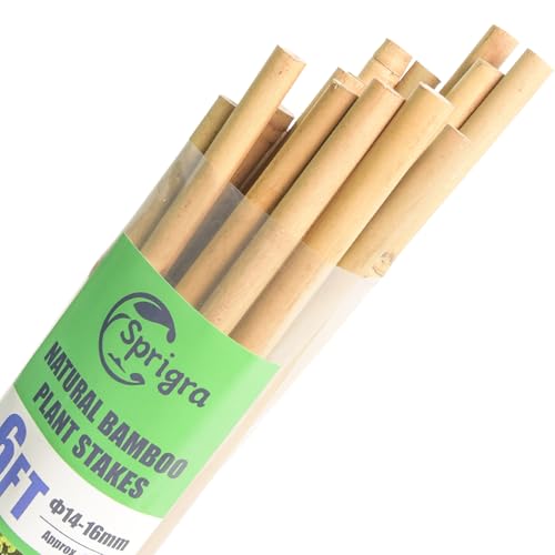 20pcs Bamboo Stakes 6 Feet, 6FT Garden Stakes Multi-Purpose, 5/8" Dia Plant Stakes for Tomatoes, Beans, Cucumbers, Peppers, Potted Trees, Maintain the Plant Posture, Strengthen and Stem - size: 6FT,Pack of 20