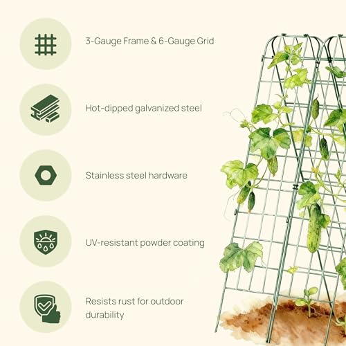 Vego Garden A-Frame Trellis Cucumber Cage for Garden & Pots, Rust-Resistant Tomato Stakes Heavy Gauge Plant Cage Trellis Support for Climbing Vegetables Plants 2 Pack - size: 63" Tall