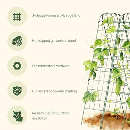 Vego Garden A-Frame Trellis Cucumber Cage for Garden & Pots, Rust-Resistant Tomato Stakes Heavy Gauge Plant Cage Trellis Support for Climbing Vegetables Plants 2 Pack - size: 63" Tall