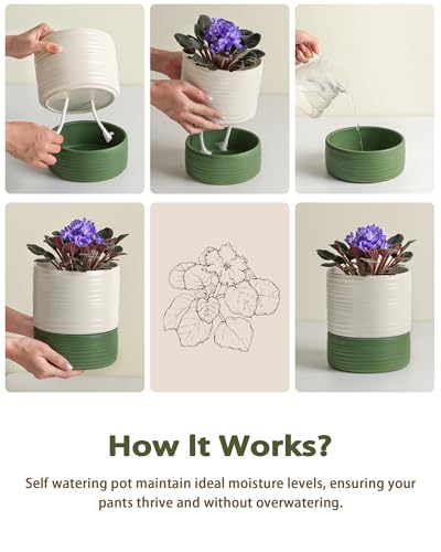 Fayoula Self Watering Pots for Indoor Plants, 6 Inch Ceramic Self Watering Plant Pot, Planter Pot with Wick Rope and Drainage Hole for African Violet Succulent Herbs (White Matte) - color: White Matte