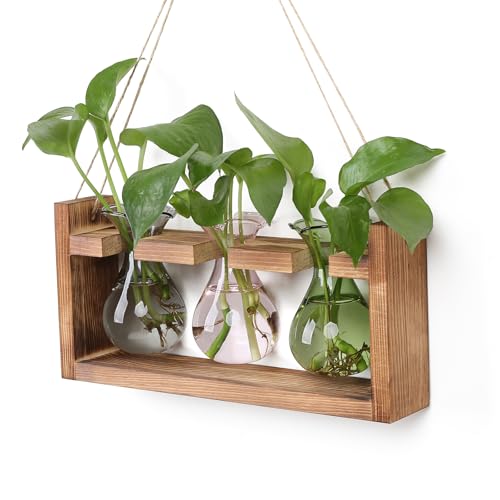 Plant Propagation Station Plant Terrarium Unique Birthday Gifts for Women - color: Color02