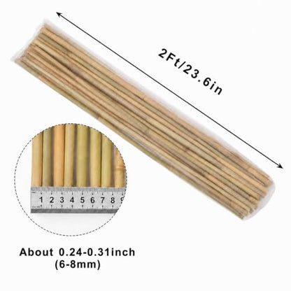 Natural Bamboo Poles, 2 Feet Bamboo Sticks for Plants, Wood Garden Stakes for Tomato, Bean, Flowers, Trees Potted and Climbing Plants, 75 Pack - size: 2FT-75PCS