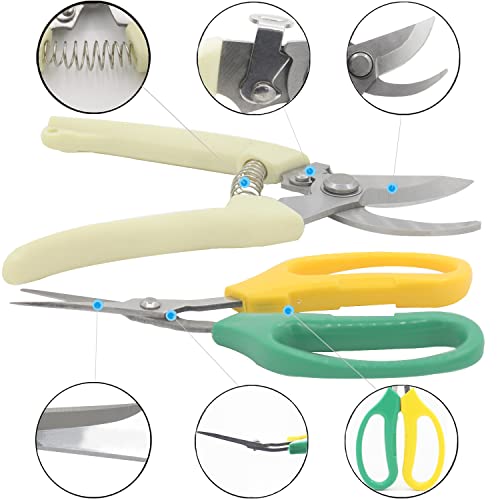 Garden Pruning Shears Garden Scissors Herb Scissors Florist Scissors Floral Snips Bonsai Scissors Hand Pruner with Gardening Gloves,Stainless Steel Straight Tip and Curved Blades,Green+Blue
