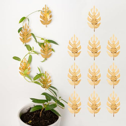 15 Pack Money Plant Hooks for Wall - Indoor Pothos Plant Support - color: Gold