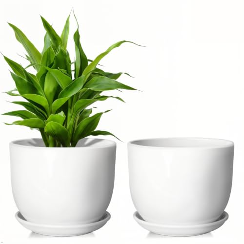 Ceramic Plant Pots, White, 6.7 Inch, 2 Pack - size: 6.7 Inch 2 Pcs