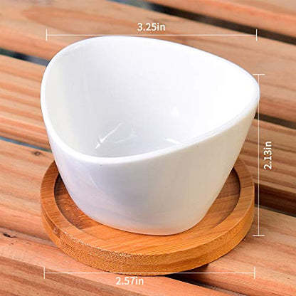 Succluent Pots,12 Pack Small Flower Pots,Planter Pots with Drinage