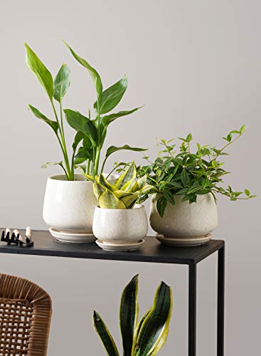 LE TAUCI Plant Pots, 4.1+5.1+6.5 inch, Set of 3, Reactive Glaze Beige - color: Reactive Glaze Beige