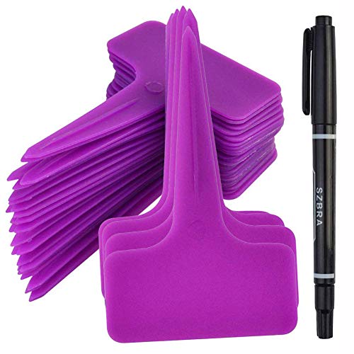 Ameolale 200PCS Plastic Nursery Garden Plant Labels - Waterproof Potted Plant Tags Reusable Seeds Markers T-Type Stakes - Eco Friendly for Vegetables Herb Flower Greenhouse(Purple)