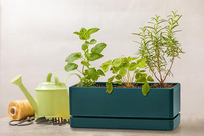 D'vine Dev 2-Pack Rectangular Planters, 12 x 4.5 in, Green, 76-X-C-2 - color: Green