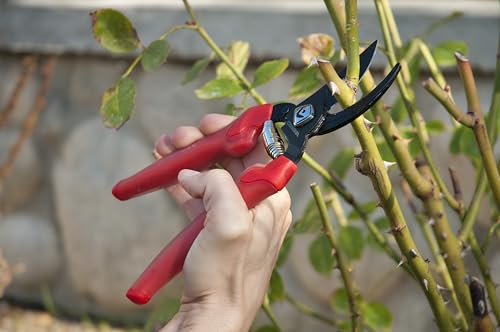 Corona BP 3214D ComfortGEL Bypass Hand Pruner, 3/4-inch cut , Red - size: 3/4 Inch