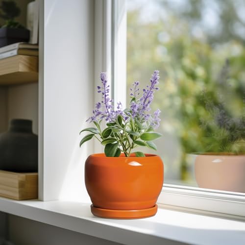 SQOWL Ceramic Plants Pots - 6 Inch Planter Indoor with Drainage Hole and Plant Saucer, Modern Round Planter Outdoor, Decorative Succulent Pot, Home Decor, Housewarming Gifts, Orange - color: Glossy Orange, size: 6 Inch