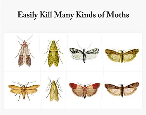 Faicuk Pantry Moth Traps with Pheromone Attractant, 8 Pack