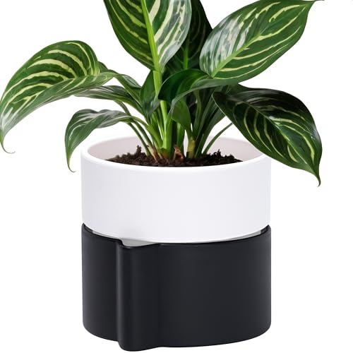 Phoenix Vine 6.5 Inch Self-Watering Planter Pot with Terracotta Insert, Deep Water Reservoir, and Ceramic-Alike BPA-Free Plastic Pot for Plant, Modern Planter for Houseplants, Black/White, 53-C-S-7 - color: Black/White, size: 6.5 Inch