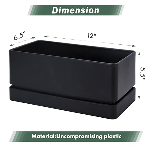 D'vine Dev Rectangular Planter, 12 x 6.5 in, Black, 76-P-B-1 - color: Black