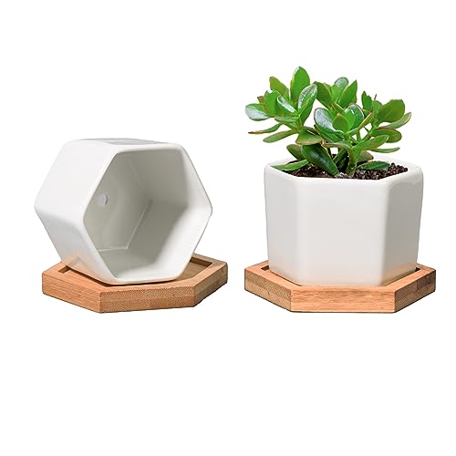T4U Small White Succulent Planter Pots with Bamboo Tray Hexagon Set of 2, Geometric Ceramic Cactus Plant Holder, Succulent Plant Gifts for Gardener Women Coworker, Home Office Table Desk Decoration - color: Hexagon
