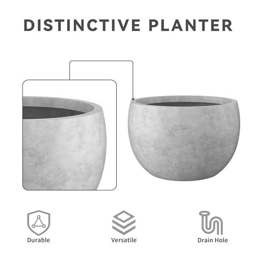Kante Accent Round Bowl Pale Gray Concrete Planter 15.7" Dia, Outdoor - color: Natural Concrete, size: 15.7" d