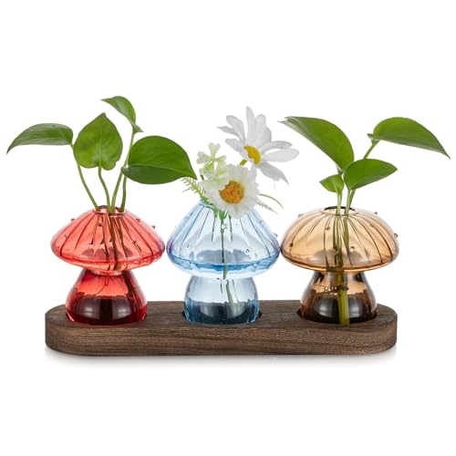 Glasseam 3Pcs Mushroom Propagation Station: Glass Terrarium Jar for Plants - color: Multicolor, size: 3Pcs