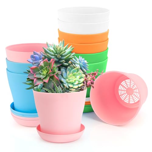 4 Inch Plant Pots 10 Pcs Small Flower Pots For Indoor Plant Pots Succulent Pots Small Plant Pots With Drainage Planters For Indoor Plants Nursery Pots Plastic Pots For Plants Herb Planter 5 Colors - color: 5 Colors Set 1, size: 10 pcs