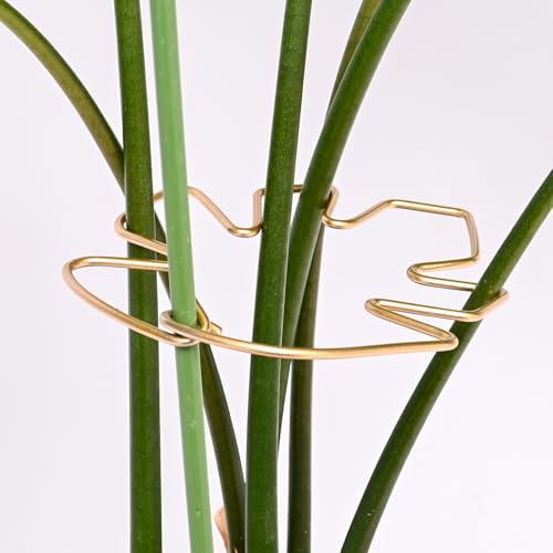 5PCS Monstera Stem Support Stake with Clip-5.5*4.7IN Stem Holder - size: 5.5 x 4.7 inches