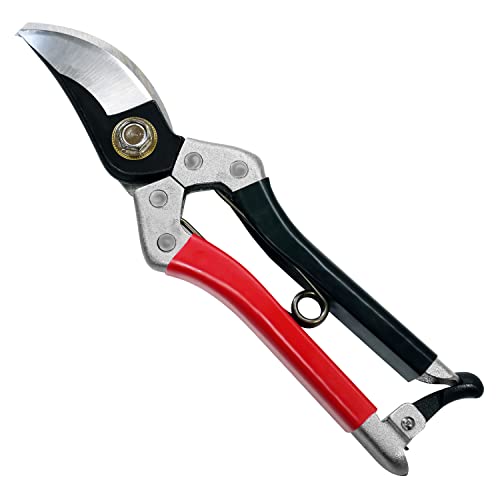 Kimura® 8" Samurai Garden Pruning Shears, [Made in Japan], Heavy Duty Premium Japanese Yasugi Steel Blades, Non-Slip Vinyl Coated Handles, Ergonomic, Japanese Bypass Pruning Shears