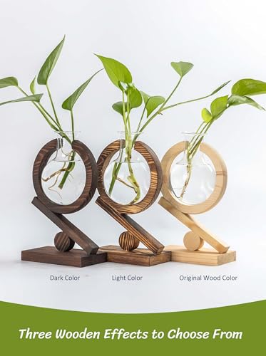 Glass Plant Propagation Station with Wooden Stand, Dark Burnt Wood - color: Dark Burnt Wood