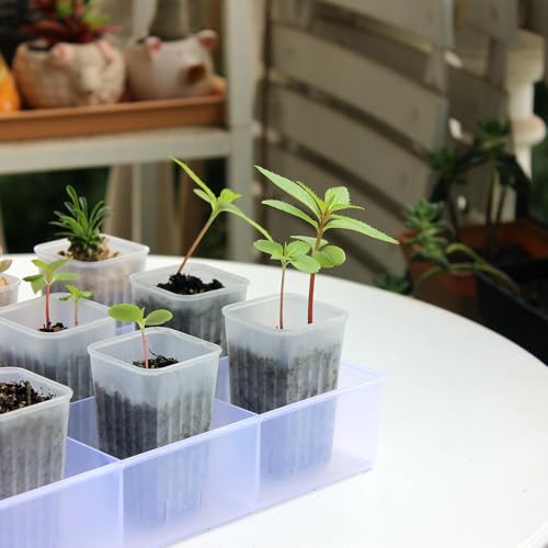 60 Pack 1.95 Inch Tiny Clear Plastic Square Nursery and Seedling Pot, Mini Deep Transplant Seed Starter Planter with Drain Hole for Germination, Herb, Succulent - color: Clear