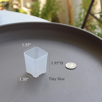 300 Pack 1.55 Inch Tiny Clear Plastic Square Nursery and Seedling Pot, Mini Transplant Seed Starter Planter with Drain Hole for Germination, Herb, Succulent - color: Clear
