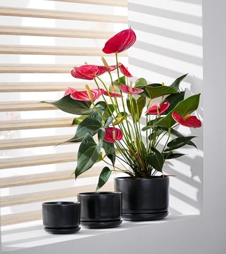 Flower Pots,Ceramic Pots with Drainage Holes & Saucer Set of 3(Matte Black) - color: Matte Black