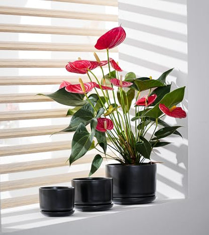 Flower Pots,Ceramic Pots with Drainage Holes & Saucer Set of 3(Matte Black) - color: Matte Black
