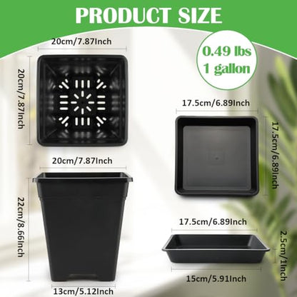 BTPLASTIK Square Plastic Planter 8 Inch, Plant Pots with Drainage Hole & Tray, 10 Pack Modern Decorative Garden Pot with Saucer, 1 Gallon Flower Pots Planters for Indoor Outdoor Plants - size: 8 INCH / 10P