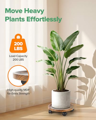 2 Pack Plant Caddy with Wheels, 12" Wood Rolling Plant Stand with 360° Lockable Wheels, Plant Stands Outdoor for Large Plants, Flower Cart Plant Dolly Plant Caster for Heavy Objects, Walnut - color: 12inch-Walnut