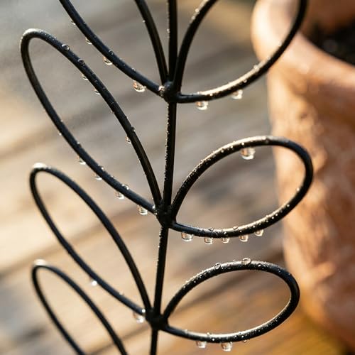 Tosnail 6 Pack Metal Plant Trellis for Potted Plants, 12.4 Inch Wire Plant Stakes, Small Garden Trellis, Cute Leaf Shaped Plant Support for Houseplant Home Climbing Plants Indoor Outdoor