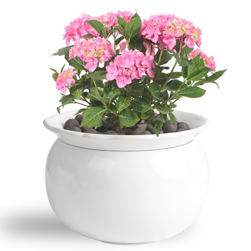 BUYMAX 6 Inch Self Watering Ceramic African Violet Pot Flower Pot Indoor - color: Wihte