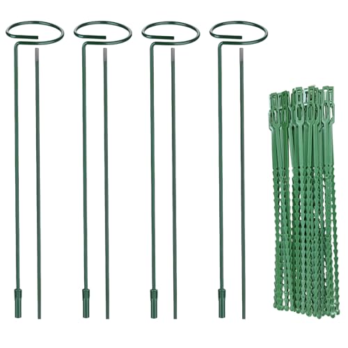 Huakaile 4 Packs Adjustable 23.6" Plant Stakes and Supports with 30 Pieces 9" Twist Ties, Green Plant Holder Stick Outdoor Indoor, Metal Flower Support Stakes Rings for Gardens Vegetables (60 cm) - size: 60 cm