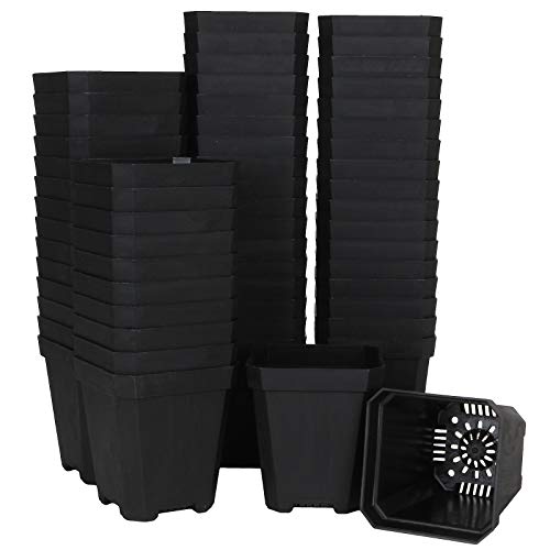 60pcs Plastic Square Nursery Pot (Black) Thick Plastic Square Flower Planting Pots with Drainage Hole for Seed Germination, Seed Starting Pots, Modern Decorative Flower Pot