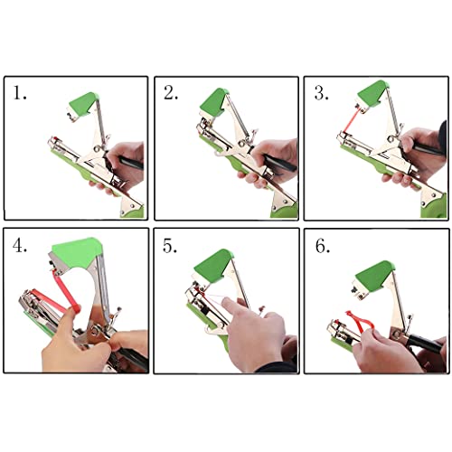 Plant Tying Machine Tool,Plant Tape Gun with 10000pcs Staples 20 Rolls Tape and Replacement Blade for Grapes,Raspberries,Tomatoes and Vining Vegetables Tying Tool(Green) - color: Green