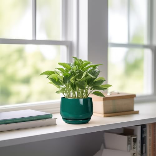 G EPGardening 4 inch Plant Pots, Small Ceramic Planter, Green - color: Blackish Green, size: 4 Inch