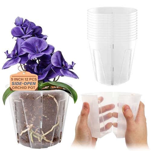 Bluepro 5 Inch Side-Open Orchid Pots 12 Pack, Plastic Nursery Planters with Detachable Side Walls for Easy Repotting, Breathable Slotted Flower Pots with Drainage for Root Health - size: 5 Inch-12Pcs