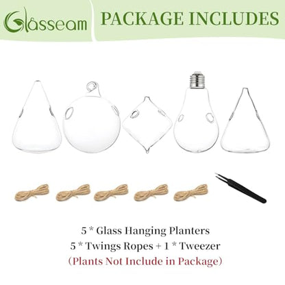 Glasseam Hanging Plant Propagation Station: 5Pcs Small Glass Terrarium Jars