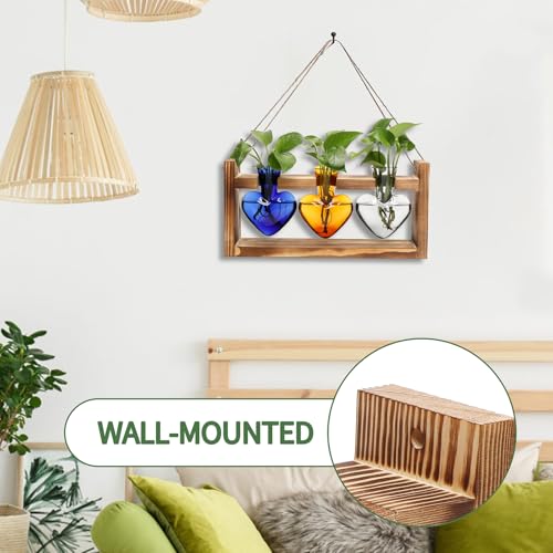 Plant Terrarium Propagation Stations Hydroponics - color: Color 3