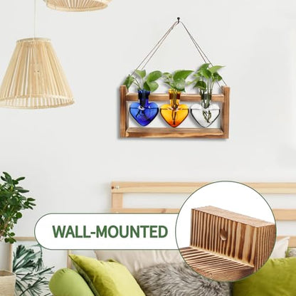Plant Terrarium Propagation Stations Hydroponics - color: Color 3
